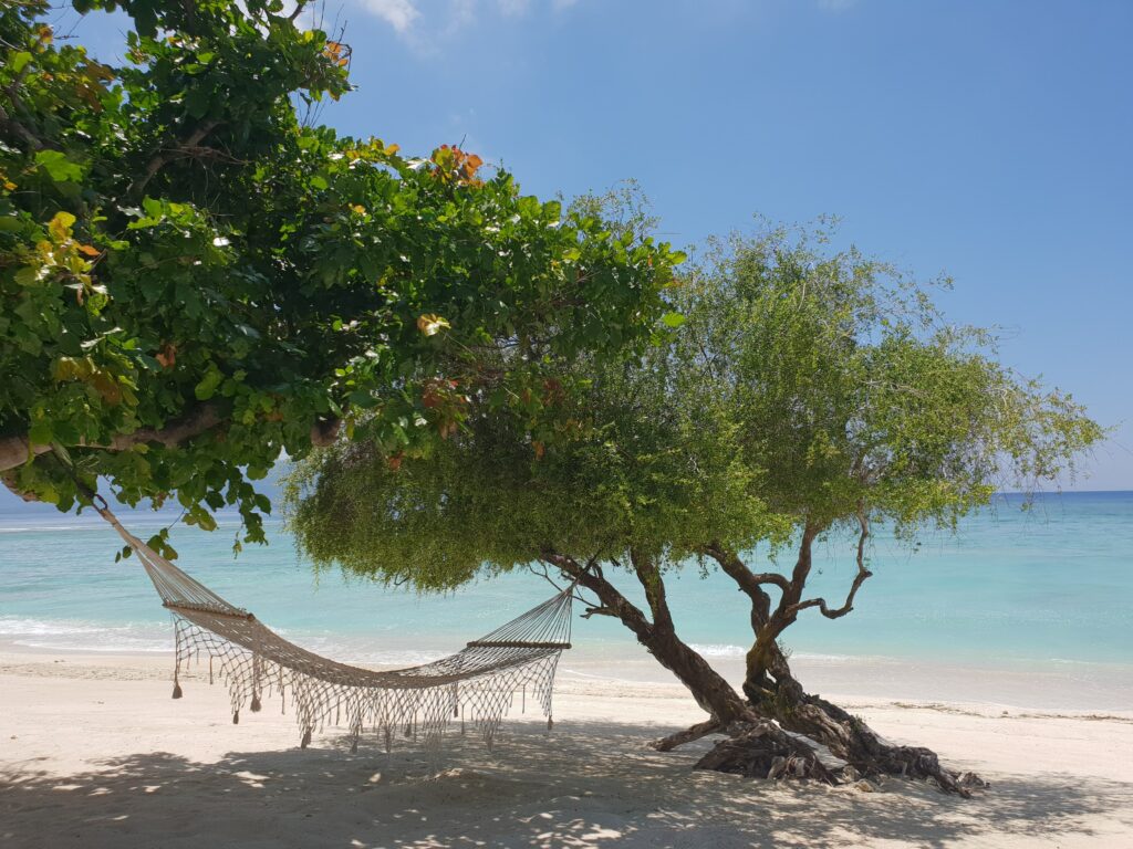 A hammock hangs between two trees on the island Gili Air with the ocean behind.