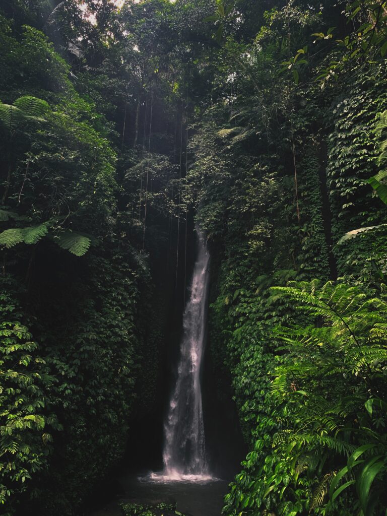 A waterfall streams down a cliff in a jungle.
