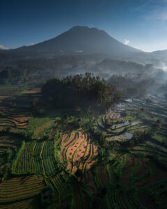 Terraced rice fields with green plants are beneath a tall volcano is Bali.