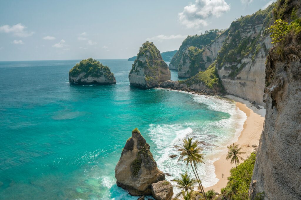 The view from Nusa Penida with a palm tree, cliffs and blue ocean.