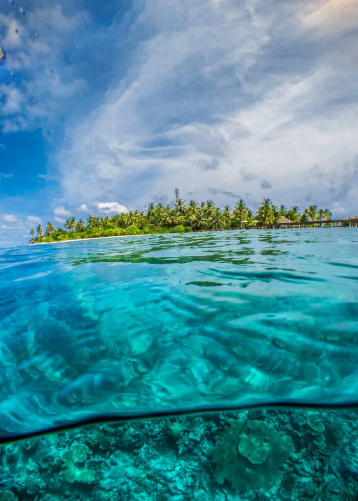 An island covered in green palm trees is in the background, while the camera shows the underwater world in the foreground.