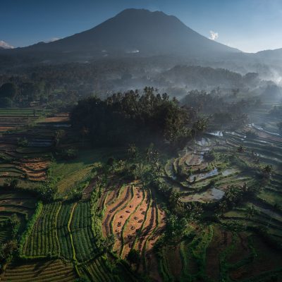 Mt. Agung - Rice Fields